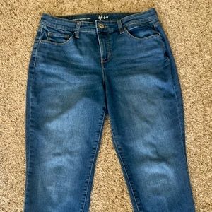Style & Co Curvy Skinny Leg Denim Jeans